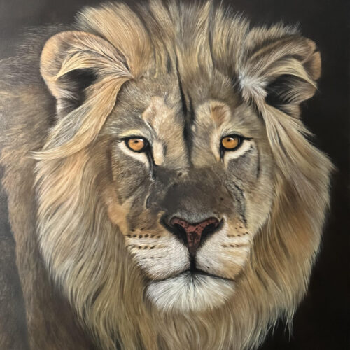 Aslan