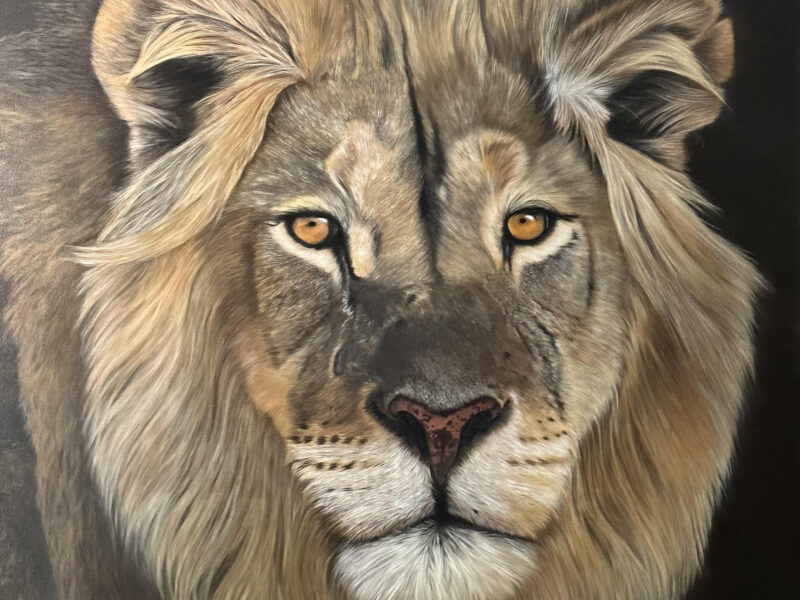 Aslan